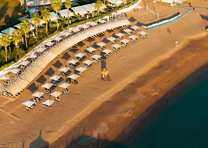 度假村 苏塞茜豪华度假酒店 贝莱克